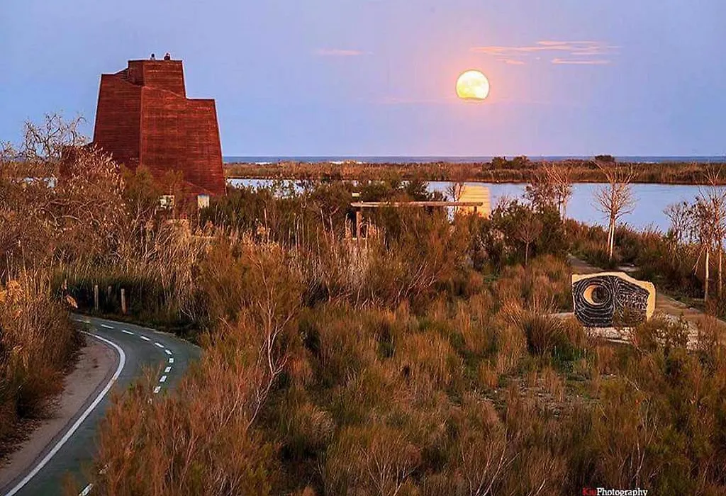 Casa Rural Delta del Ebro Ecoturismo-1
